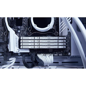 FURY Beast 32 Go 6000 MT/s DDR