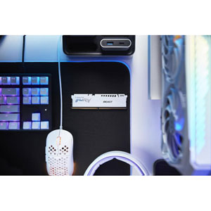 FURY Beast 32 Go 6000 MT/s DDR