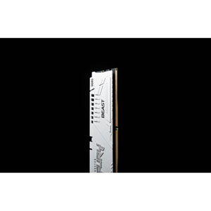 FURY Beast 32 Go 6000 MT/s DDR