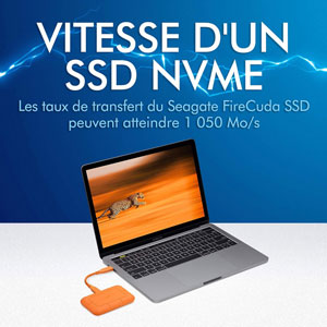 Rugged SSD - 500Go