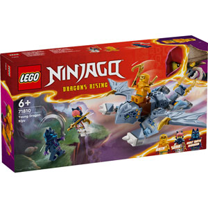 NINJAGO - Le jeune dragon Riyu