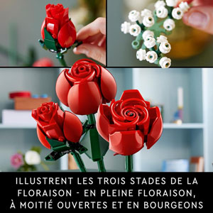 BOTANICALS - Le bouquet de roses