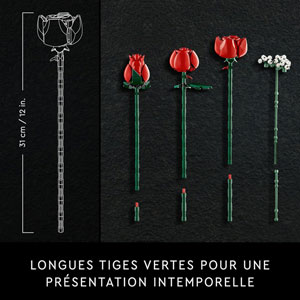 BOTANICALS - Le bouquet de roses