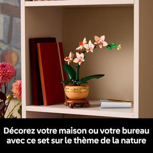 BOTANICALS - L’orchidée miniature