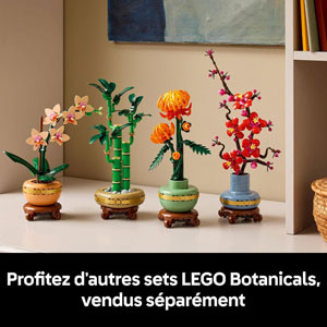 BOTANICALS - L’orchidée miniature