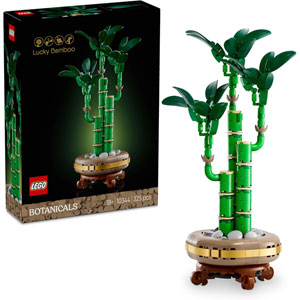 BOTANICALS - Le bambou de la chance
