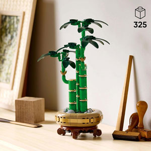 BOTANICALS - Le bambou de la chance