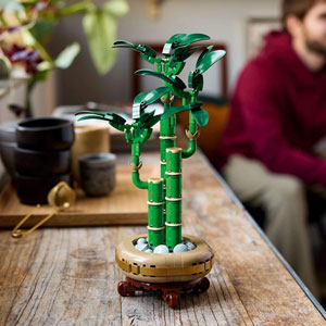 BOTANICALS - Le bambou de la chance
