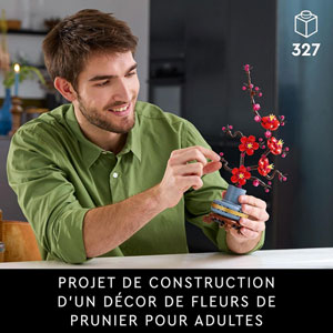 BOTANICALS - Les fleurs de prunier