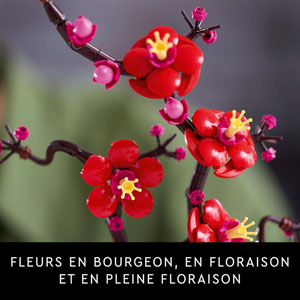 BOTANICALS - Les fleurs de prunier