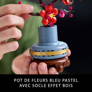 BOTANICALS - Les fleurs de prunier