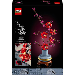 BOTANICALS - Les fleurs de prunier