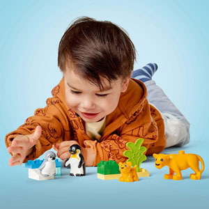 Familles d’animaux sauvages : pingouins et lions