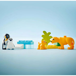 Familles d’animaux sauvages : pingouins et lions