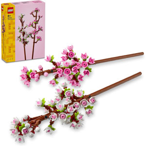 Les fleurs de cerisier