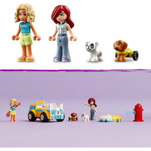 FRIENDS - La voiture de toilettage canin