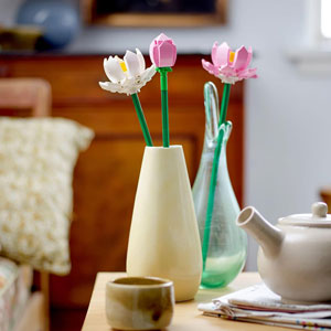 BOTANICALS - Les fleurs de lotus