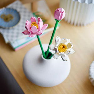 BOTANICALS - Les fleurs de lotus