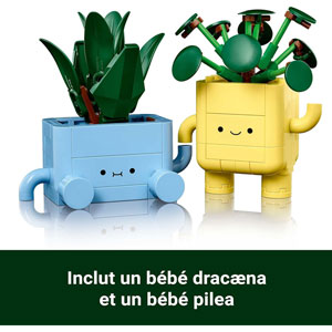 BOTANICALS - Petites plantes souriantes