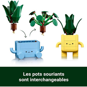 BOTANICALS - Petites plantes souriantes
