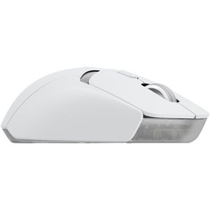 G309 - Blanc