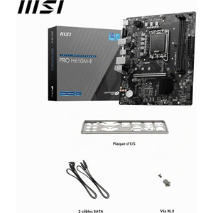 PRO H610M-E