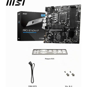 PRO B760M-P