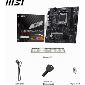 PRO A620AM-B EVO