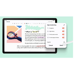 Galaxy Tab S10FE - 10.9p / 128Go / Gris