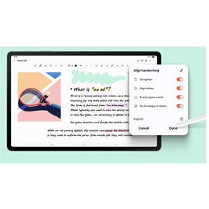 Galaxy Tab S10FE+ 5G - 13.1p / 128Go / Gris