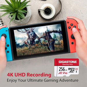 Extreme microSDXC UHS-I - 512Go