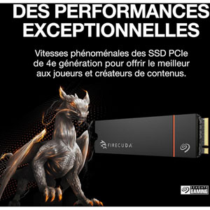 FireCuda 530R M.2 PCIe 4.0 NVMe - 2 To / HeatSink