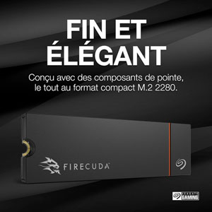 FireCuda 530R M.2 PCIe 4.0 NVMe - 2 To / HeatSink