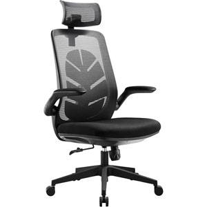 Chaise ergonomique i-Care Leaf