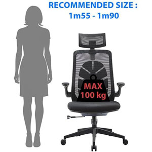 Chaise ergonomique i-Care Leaf