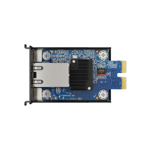 SYNOLOGY E10G22-T1-Mini
