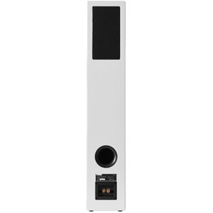 Spectrum II X6 Blanc (à l'unité)