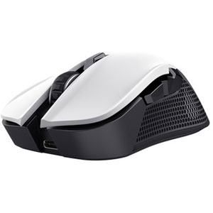 GXT 923W Ybar - Blanc