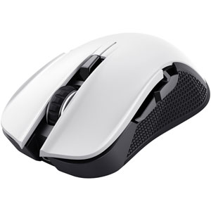 GXT 923W Ybar - Blanc