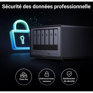 NASync DXP6800 Pro