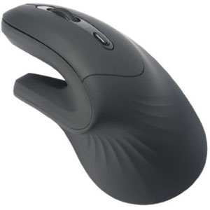 photo Souris ergonomique 2-en-1 BT/2.4GHz 1600 DPI
