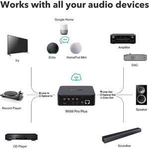 WiiM Pro Plus
