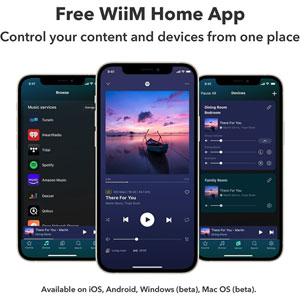 WiiM Pro Plus