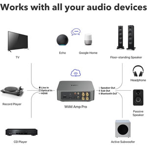WiiM Amp Pro