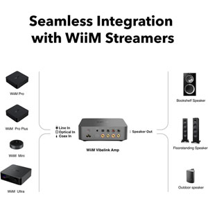 Vibelink Amp Space Grey