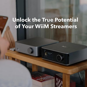 Vibelink Amp Silver