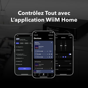 WiiM Amp Ultra Silver