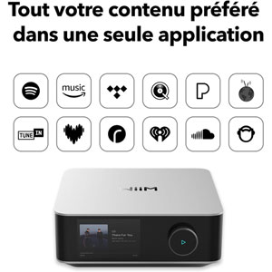 WiiM Amp Ultra Silver