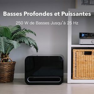 WiiM Sub Pro