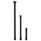 ACEXT-031